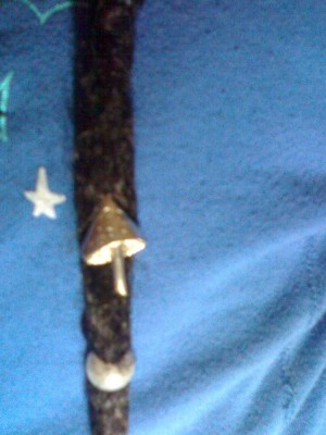 13022008605.jpg