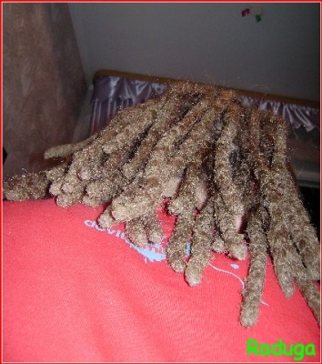 32dreads1.jpg