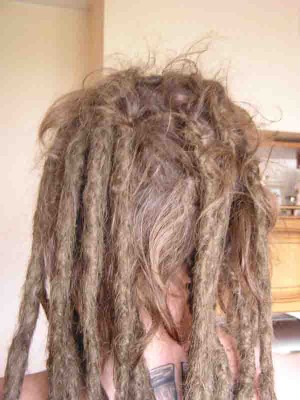 dread back.jpg