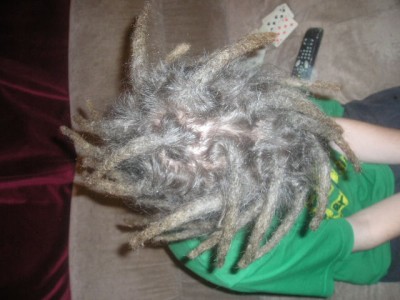 dreads4.JPG