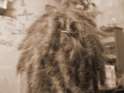 P1010009.JPG